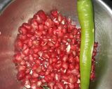 દાડમ ની ચટણી(dadam chutney recipe in gujarati) રેસીપી સ્ટેપ1ફોટો