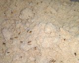 A picture of step 2 of Jeera cookies.