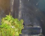 A picture of step 1 of Mint margarita.