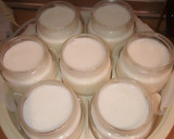 Foto del paso 2 de la receta: Yogurt de queso crema sin azúcar añadido