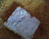 Foto langkah ke 5 dari resep Nugget Tahu Wortel.
