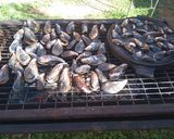 Foto del paso 2 de la receta: Cholgas a la parrilla