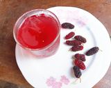 Hình bước làm 3 của món Nước dâu tằm