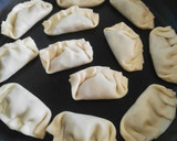 Foto del paso 9 de la receta: Gyozas de verduras