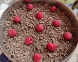 Foto del paso 4 de la receta Tarta fría de galletas y yogur