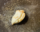 Foto del paso 3 de la receta: Merluza Cajún