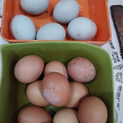 Langkah 2