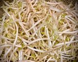 Hình bước làm 5 của món Phở Bò