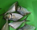 Foto langkah ke 1 dari resep Ikan pallumara By bubu #ketopad_cp_seafood #keto.