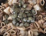 Foto del paso 14 de la receta: Arroz meloso de rape y calamar