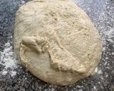 Foto del paso 2 de la receta: Bagels 🥯