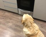 Foto del paso 5 de la receta: Galletas de avena