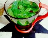 صورة لخطوة 1 من وصفة نعناع اخضر🌱