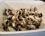 Une image de l'étape 4 de Champignons de Paris bruns sautés à la coriandre.