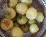 આમળાનું શરબત(Amla sharbat recipe in Gujarati) રેસીપી સ્ટેપ1ફોટો