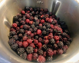 Foto del paso 1 de la receta: Mermelada de mora (Monsieur Cuisine)