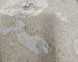 Foto del paso 2 de la receta: Romanesco y rábanos, en pasta orly