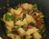 Foto del paso 2 de la receta: Patatas guisadas con carne y caldo de cocido en un plis plas