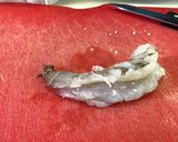 Foto del paso 2 de la receta: Camarones envueltos en tocino a la Sonorense