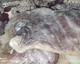 Foto del paso 3 de la receta: Acelgas, garbanzos y bacalao Skrei