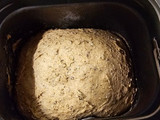 Pan 100% Integral Lactal en horno de pan