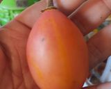 Foto del paso 1 de la receta: Chutney vegano de tomate de árbol