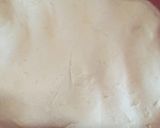 Foto langkah ke 3 dari resep Kue ku / kue tok.