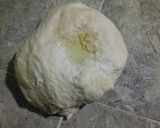 Foto del paso 3 de la receta: Berlinesas