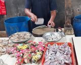 Foto langkah ke 1 dari resep Bandeng Pindang Serani (837).