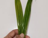 Foto langkah ke 1 dari resep Ayam Woku Kemangi.