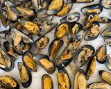 Foto langkah ke 1 dari resep Kerang bakar kecap.