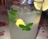Foto del paso 3 de la receta: Limonada sin azúcar con mentas y jengibre 🫚