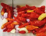 Foto langkah ke 1 dari resep Sambal udang rebon.