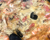 Foto del paso 8 de la receta: 112. Suquet de pescado y marisco (principal pescado)