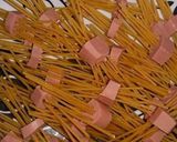 A picture of step 1 of Sausage spaghetti.