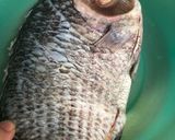 รูปขั้นตอนการทำที่ 1 ของ ปลานิลอบเกลือ 🐟🧂