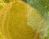 Foto del paso 3 de la receta: Rapiditas de Zanahoria y cúrcuma. Y de Espinaca