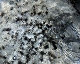 A picture of step 2 of #kunucontest KUNUN KANWA.