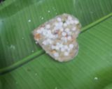 A picture of step 7 of Vrat Wale Heart Bites (Fasting Recipe).