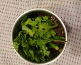 अलसी मिंट की चटनी (Alsi Mint ki chutney recipe in Hindi) रेसिपी चरण 2 फोटो