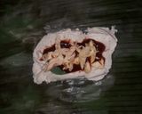 Foto del paso 5 de la receta: Tamales rancheros