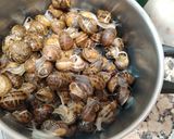 Foto del paso 1 de la receta: Caracoles con verduras de temporada