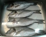 صورة لخطوة 1 من وصفة 🐟 سمك 🐟 مشوي بالفرن 🐟 (دنيس) وأرز 🍚 صيادية 🐟 مع السلطة 🥗