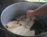 Foto del paso 10 de la receta: Tamales
