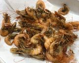Foto del paso 2 de la receta: Camarones cucarachas al estilo Sonorense