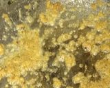 Foto del paso 3 de la receta: Tortilla de acelga