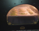 Foto del paso 6 de la receta: Empanadillas de langostinos
