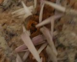 A picture of step 6 of Chicken roll.