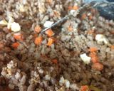 Foto del paso 2 de la receta: Pastel de Carne de Res