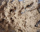 A picture of step 7 of My Perfect Chocolate Chip Cookie !! :).